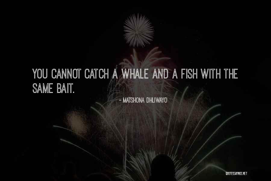Macbraynes Ferry Quotes By Matshona Dhliwayo Macbraynes Ferry Quotes By Matshona Dhliwayo