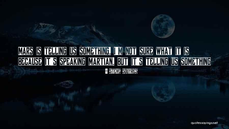Macelo Garcia Quotes By Steve Squyres Macelo Garcia Quotes By Steve Squyres