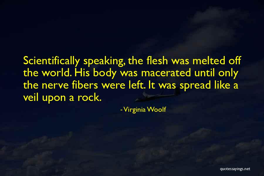 Macerated Quotes By Virginia Woolf Macerated Quotes By Virginia Woolf