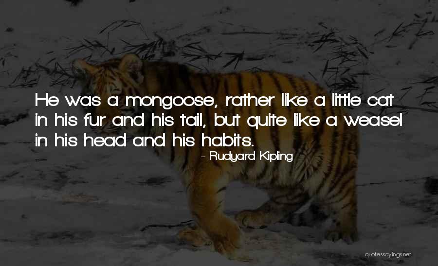 Macgillivray Quotes By Rudyard Kipling Macgillivray Quotes By Rudyard Kipling