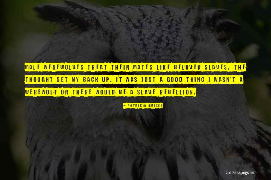 Machajaca Quotes By Patricia Briggs Machajaca Quotes By Patricia Briggs