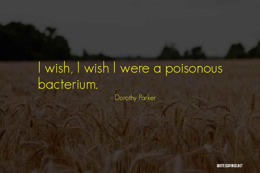 Machalica I Sosnowska Quotes By Dorothy Parker Machalica I Sosnowska Quotes By Dorothy Parker