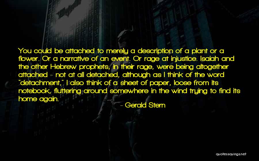 Machedon Dex Quotes By Gerald Stern Machedon Dex Quotes By Gerald Stern
