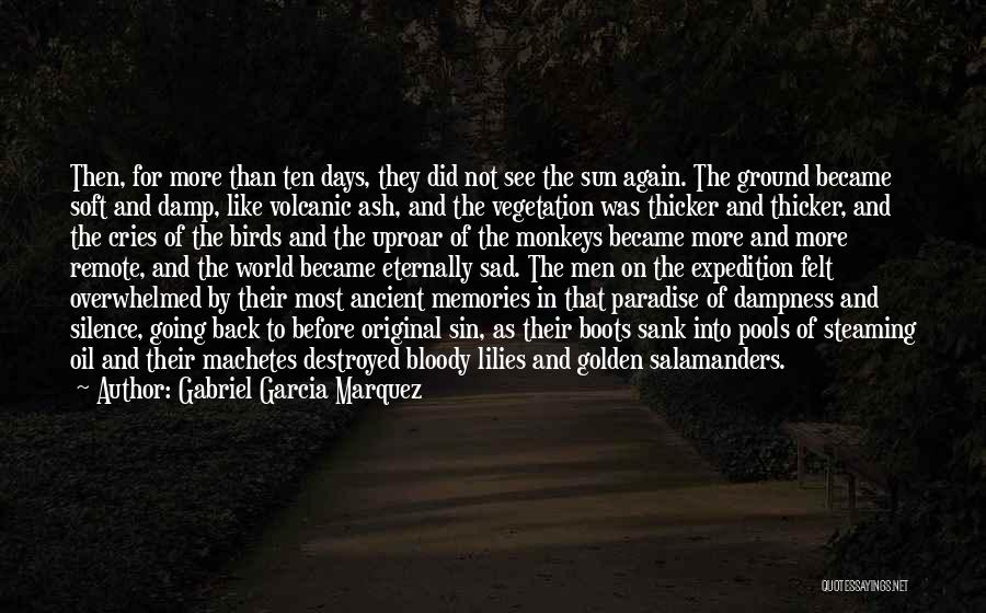 Machetes Quotes By Gabriel Garcia Marquez