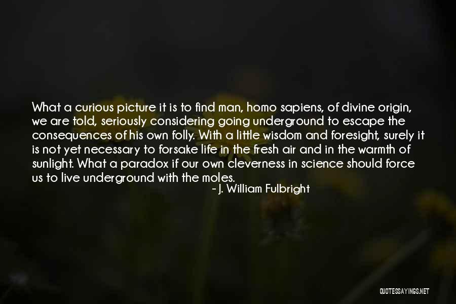 Machiajul Egiptenilor Quotes By J. William Fulbright Machiajul Egiptenilor Quotes By J. William Fulbright