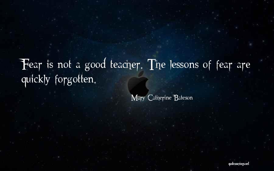 Machinability Quotes By Mary Catherine Bateson Machinability Quotes By Mary Catherine Bateson