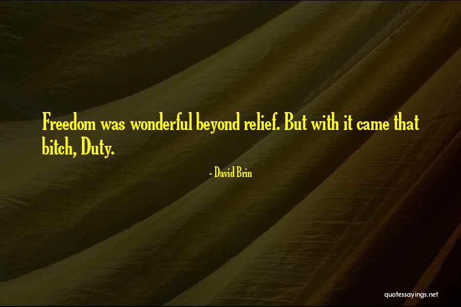 Machinerie Yvon Quotes By David Brin Machinerie Yvon Quotes By David Brin