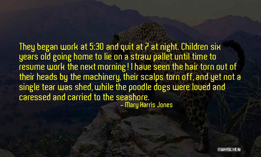 Machinery Quotes By Mary Harris Jones Machinery Quotes By Mary Harris Jones