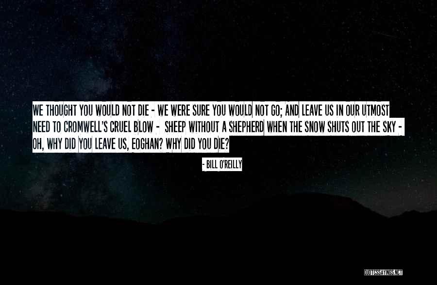 Machmer Weingut Quotes By Bill O'Reilly Machmer Weingut Quotes By Bill O'Reilly