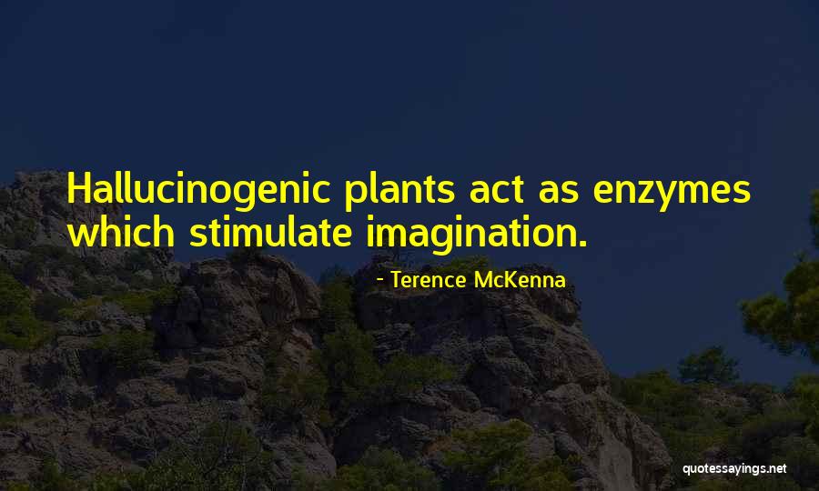 Machspeed Quotes By Terence McKenna Machspeed Quotes By Terence McKenna
