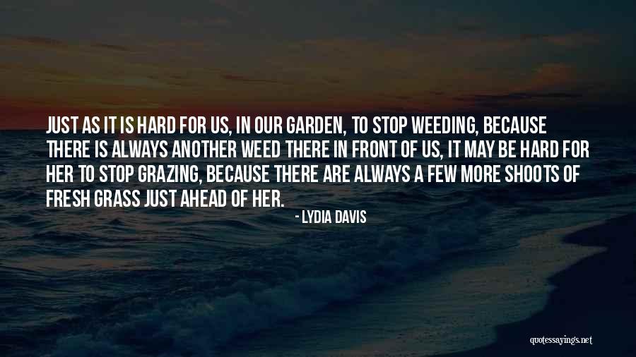 Machuga And Movie Quotes By Lydia Davis Machuga And Movie Quotes By Lydia Davis