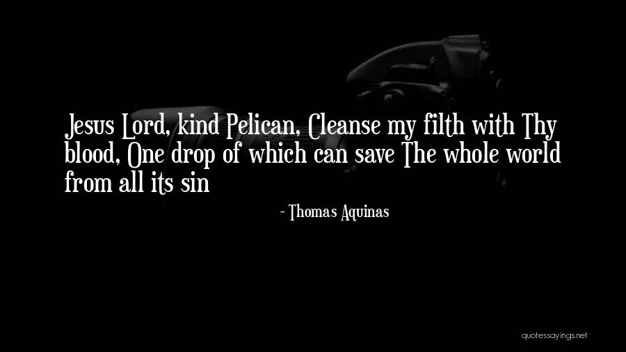 Maclachlan Tartan Quotes By Thomas Aquinas Maclachlan Tartan Quotes By Thomas Aquinas