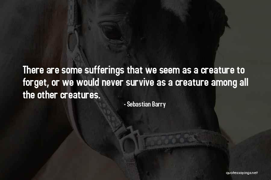 Maclear Accommodation Quotes By Sebastian Barry Maclear Accommodation Quotes By Sebastian Barry