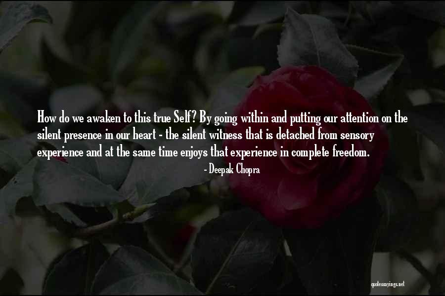 Macmonnies Diana Quotes By Deepak Chopra Macmonnies Diana Quotes By Deepak Chopra