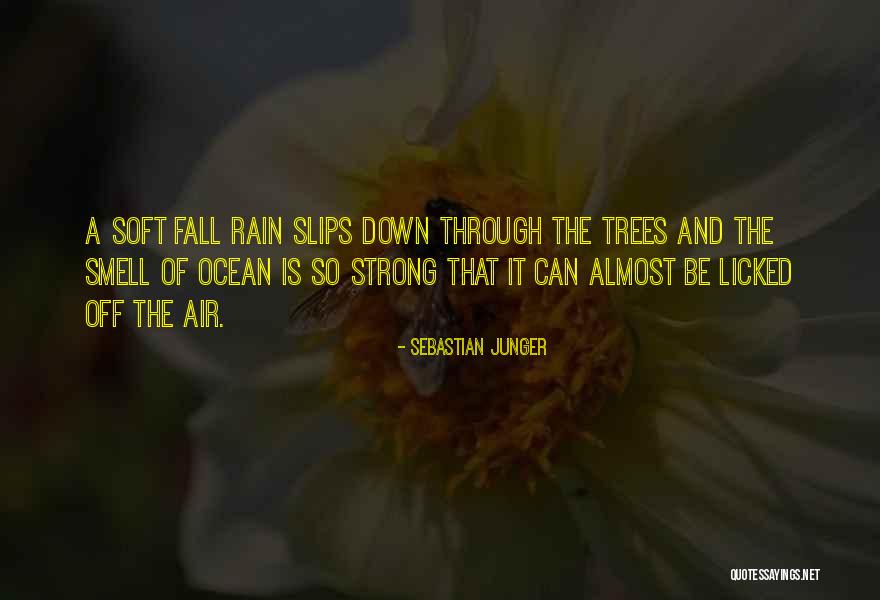 Maconellicoccus Quotes By Sebastian Junger Maconellicoccus Quotes By Sebastian Junger
