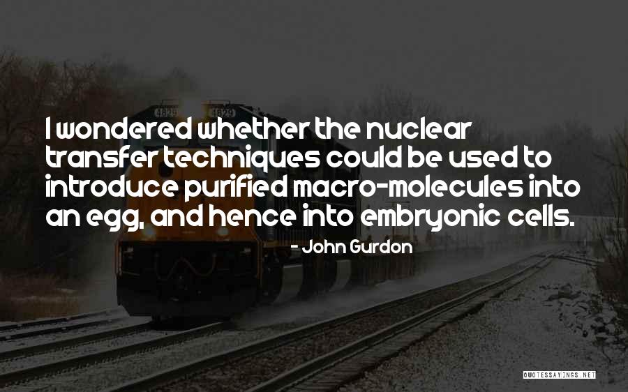 Macro Quotes By John Gurdon Macro Quotes By John Gurdon