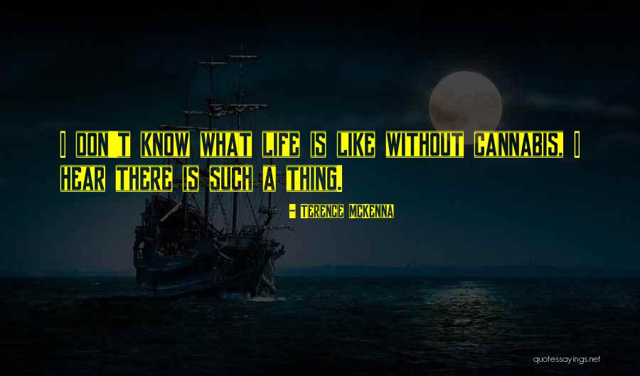 Mactas And Alper Quotes By Terence McKenna Mactas And Alper Quotes By Terence McKenna