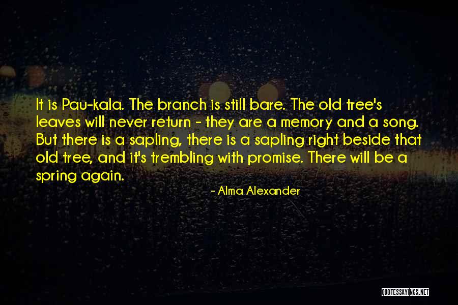 Maculan Torcolato Quotes By Alma Alexander Maculan Torcolato Quotes By Alma Alexander