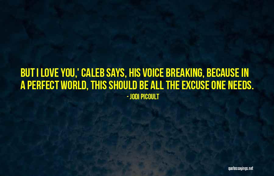 Macushla Glenview Quotes By Jodi Picoult Macushla Glenview Quotes By Jodi Picoult