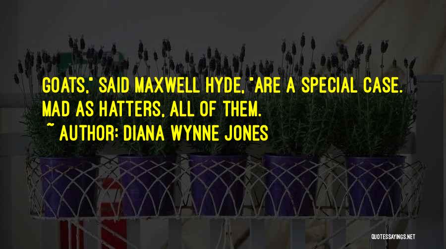 Mad As A Quotes By Diana Wynne Jones