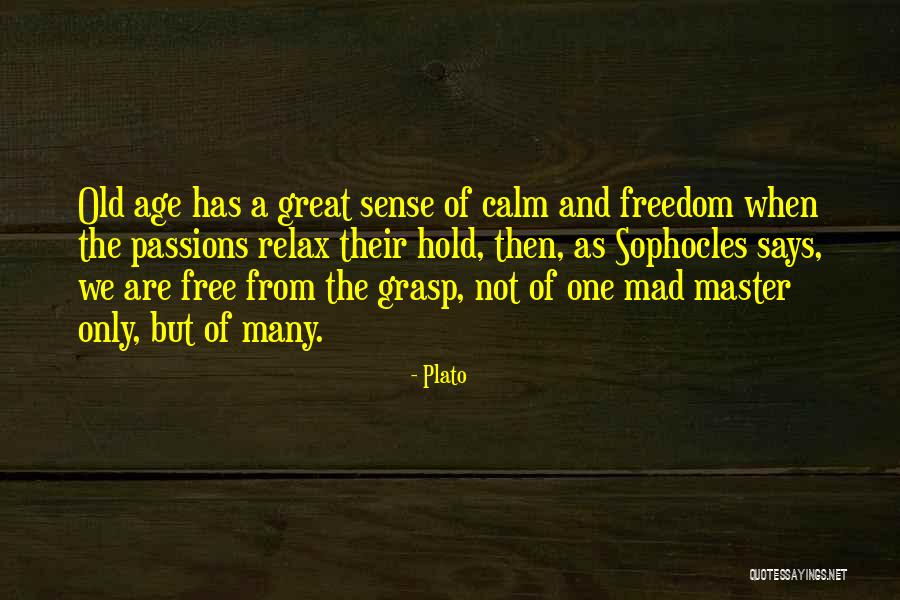 Mad As A Quotes By Plato