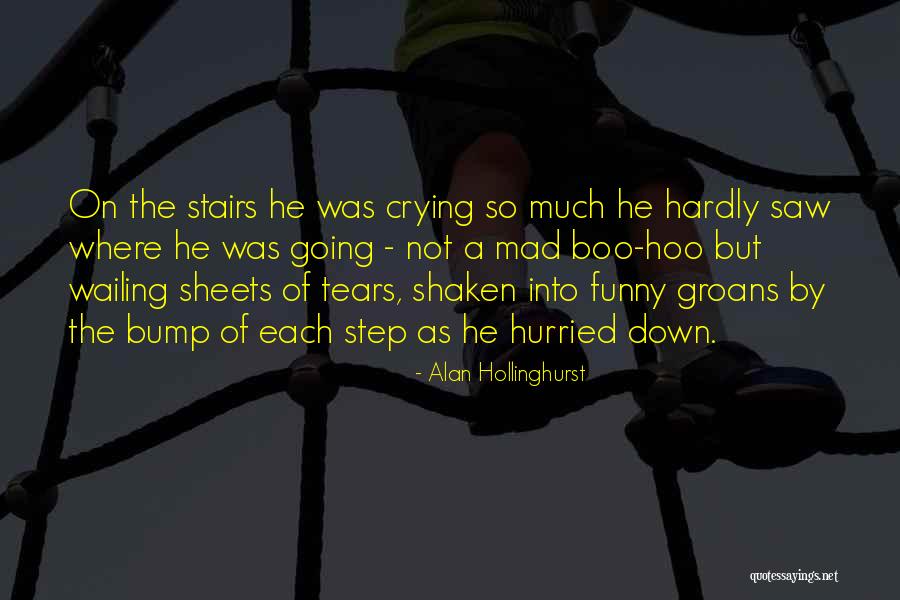 Mad As Funny Quotes By Alan Hollinghurst Mad As Funny Quotes By Alan Hollinghurst