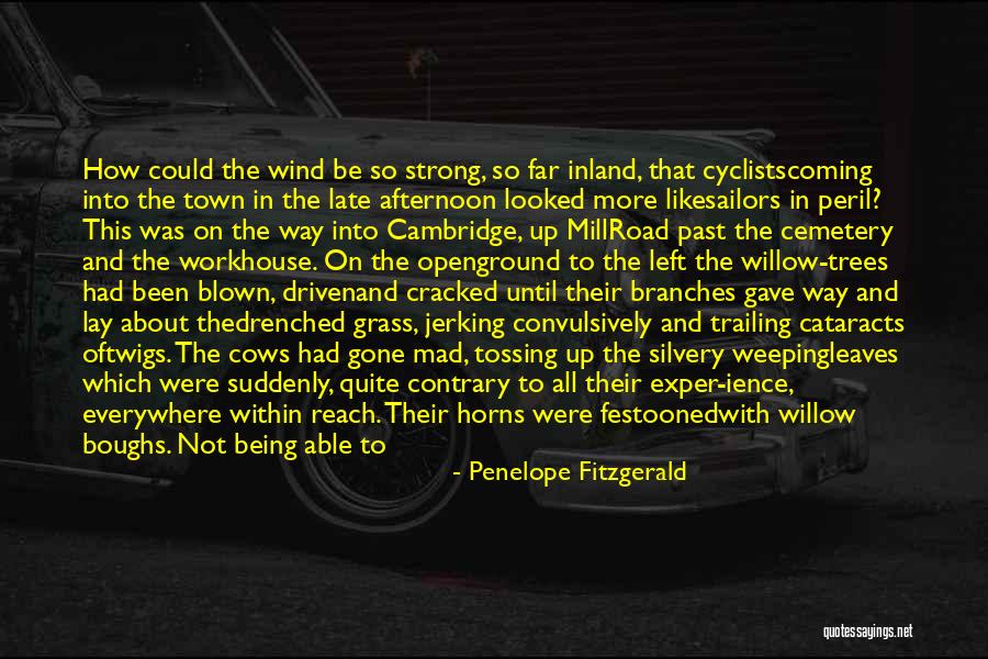 Mad City Quotes By Penelope Fitzgerald Mad City Quotes By Penelope Fitzgerald