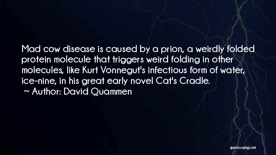 Mad Cow Disease Quotes By David Quammen