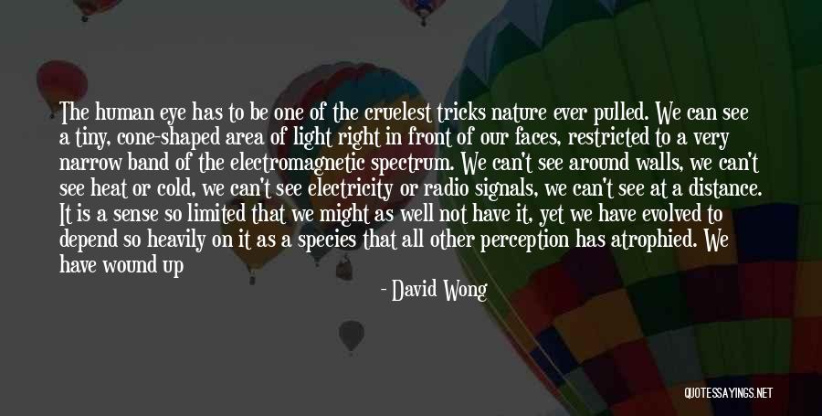 Mad Eye Quotes By David Wong Mad Eye Quotes By David Wong