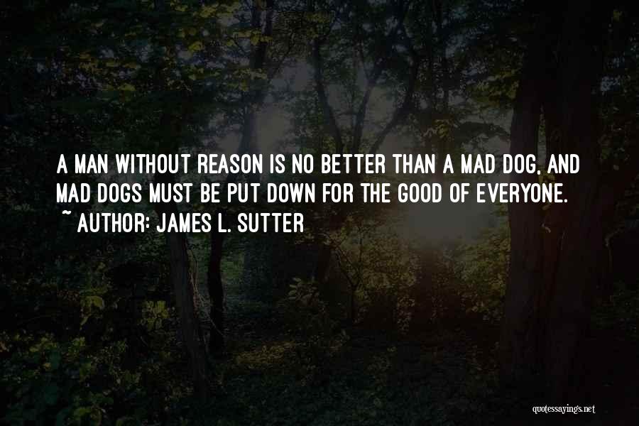 Mad For No Reason Quotes By James L. Sutter