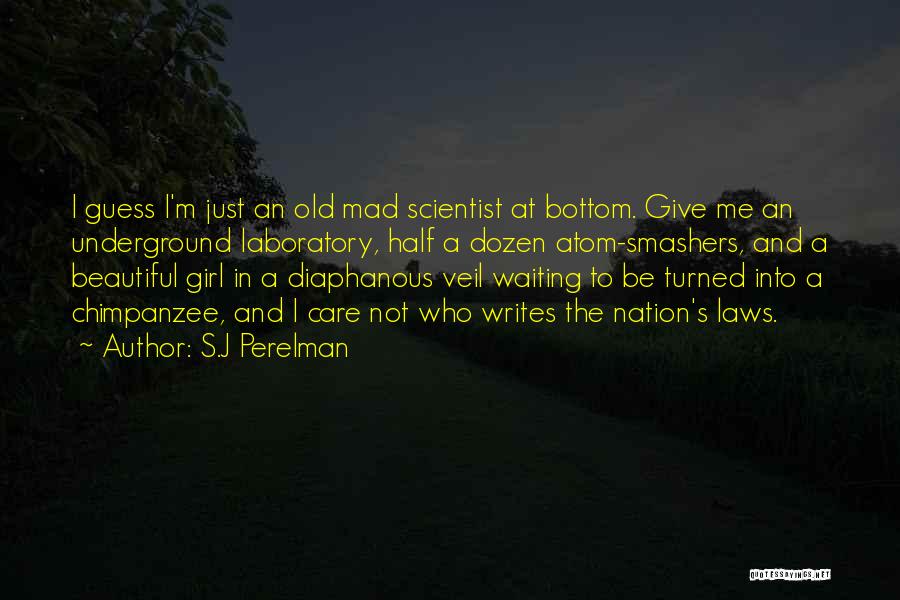 Mad Scientist Quotes By S.J Perelman