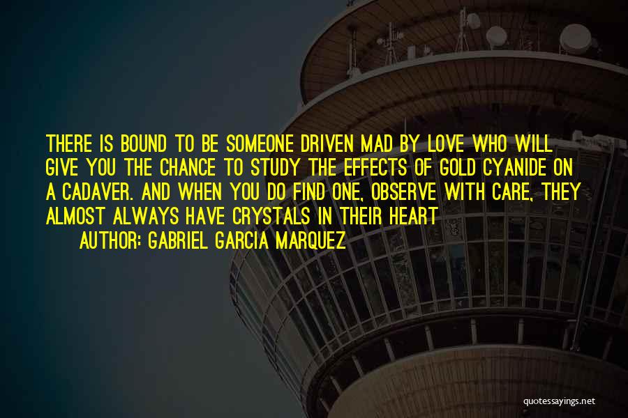Mad With Someone Quotes By Gabriel Garcia Marquez