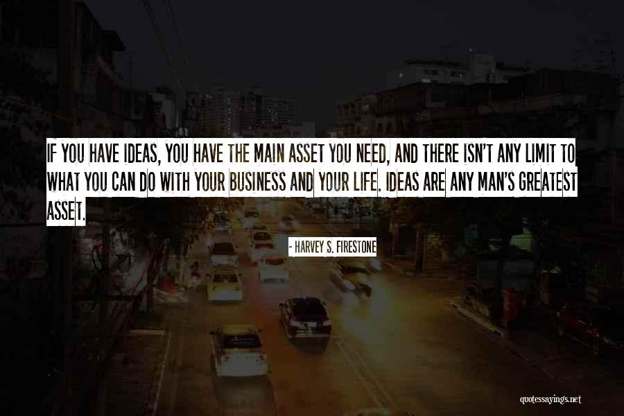 Madanes Consultant Quotes By Harvey S. Firestone Madanes Consultant Quotes By Harvey S. Firestone