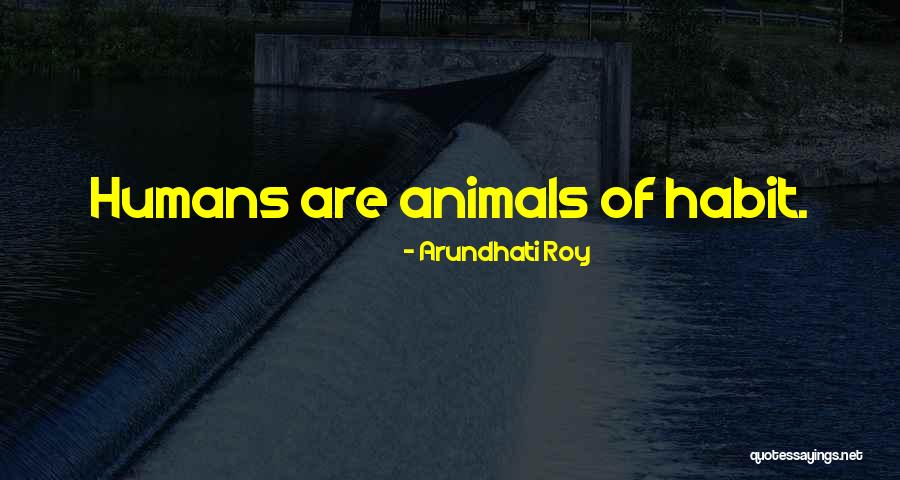 Madang Korean Quotes By Arundhati Roy Madang Korean Quotes By Arundhati Roy