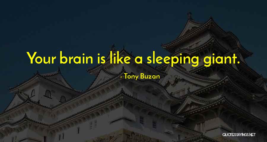 Maddalena Cabernet Quotes By Tony Buzan Maddalena Cabernet Quotes By Tony Buzan