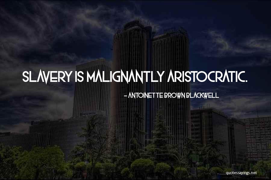 Maddela Sabeera Quotes By Antoinette Brown Blackwell Maddela Sabeera Quotes By Antoinette Brown Blackwell