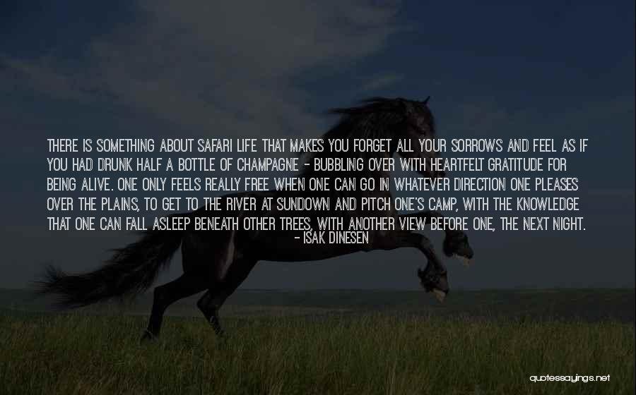 Madden Obvious Quotes By Isak Dinesen Madden Obvious Quotes By Isak Dinesen