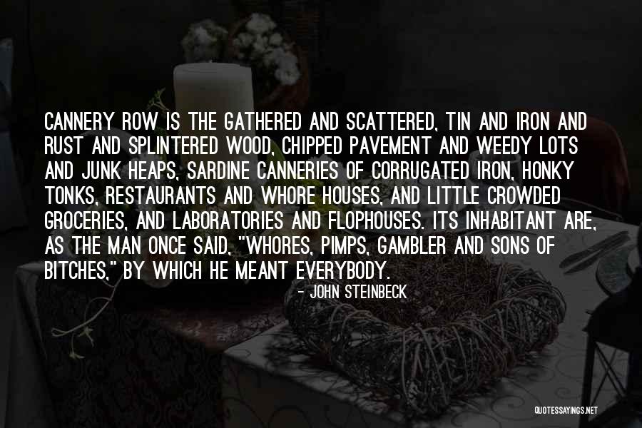 Madden Obvious Quotes By John Steinbeck Madden Obvious Quotes By John Steinbeck