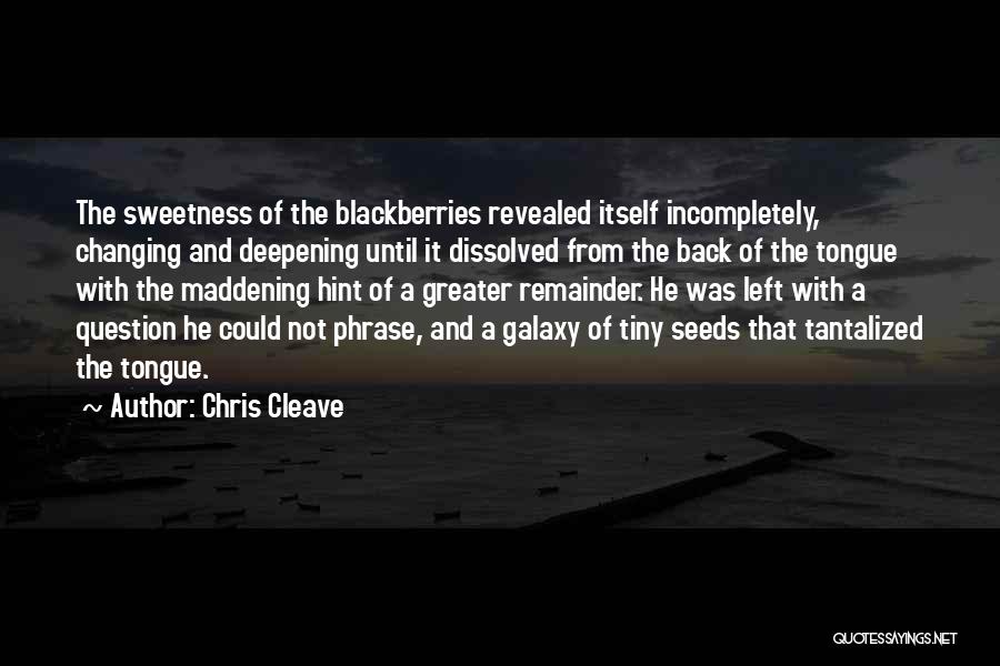 Maddening Quotes By Chris Cleave