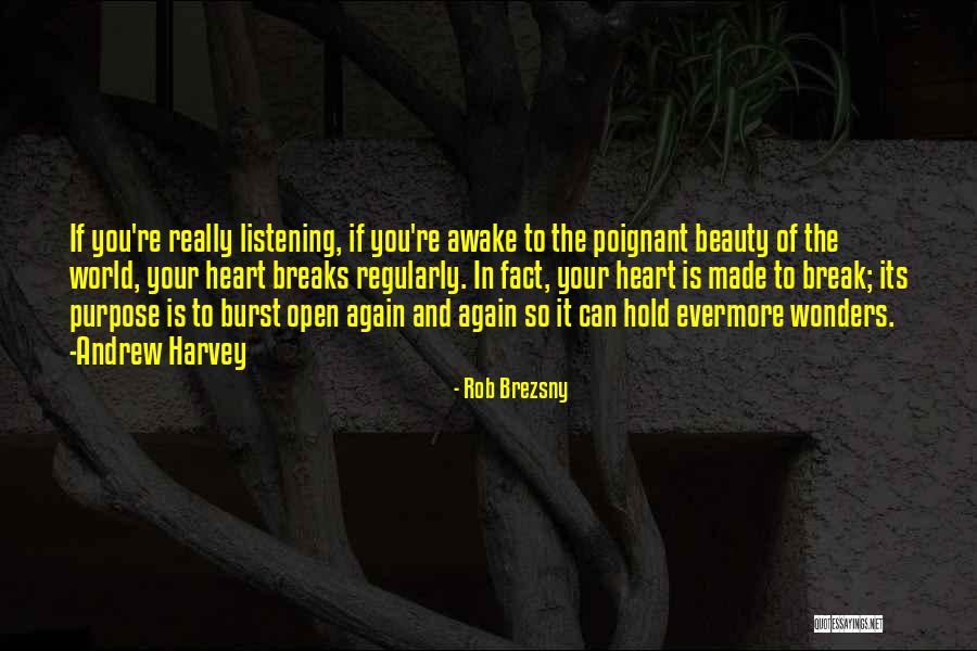 Made Evermore Quotes By Rob Brezsny