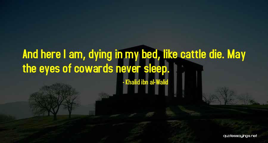 Made It Home Safe Quotes By Khalid Ibn Al-Walid