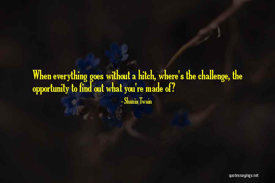 Made The Quotes By Shania Twain