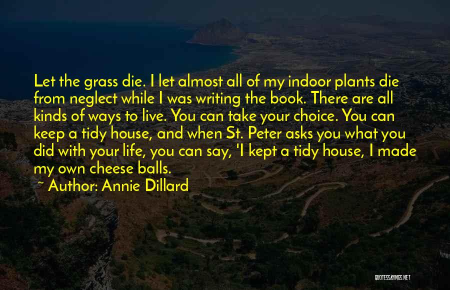 Made Your Choice Quotes By Annie Dillard