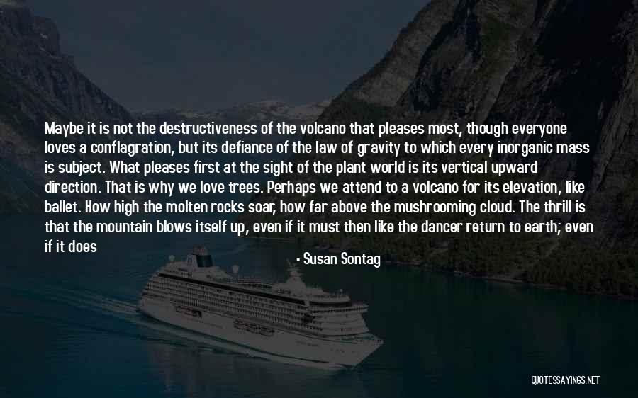 Madebymarywithlove Quotes By Susan Sontag Madebymarywithlove Quotes By Susan Sontag