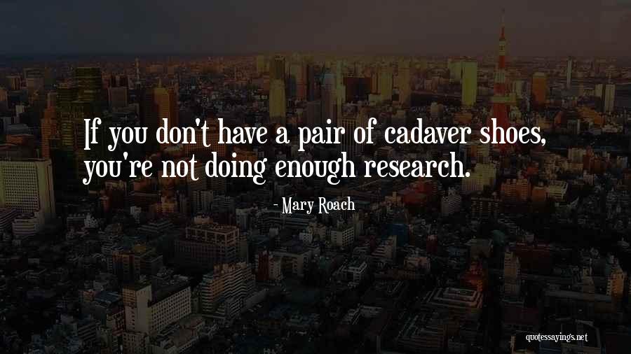 Madelaine Bradburry Quotes By Mary Roach Madelaine Bradburry Quotes By Mary Roach