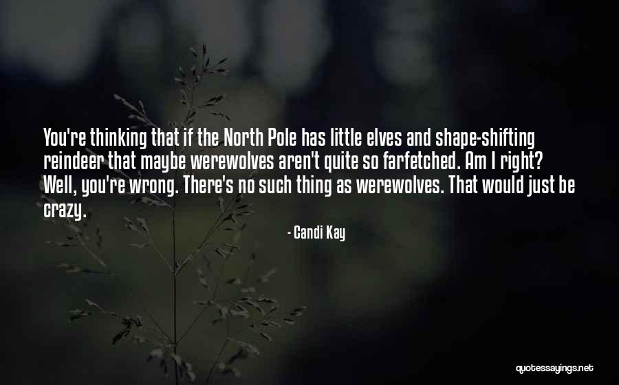 Madeleine Castaing Quotes By Candi Kay Madeleine Castaing Quotes By Candi Kay