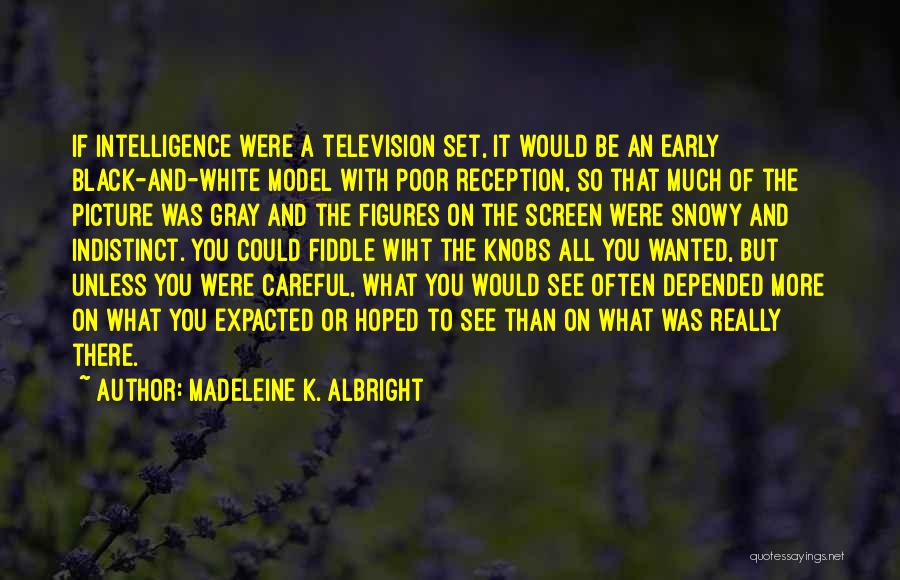 Madeleine K. Albright Quotes 103957