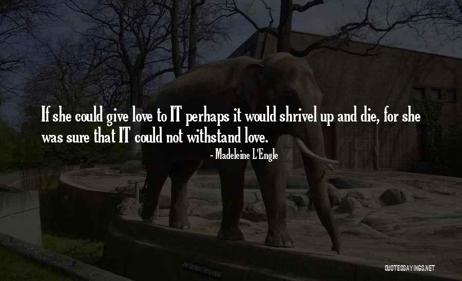 Madeleine L Engle Quotes By Madeleine L'Engle Madeleine L Engle Quotes By Madeleine L'Engle
