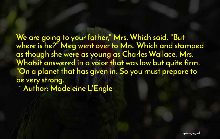 Madeleine L'Engle Quotes 1679374