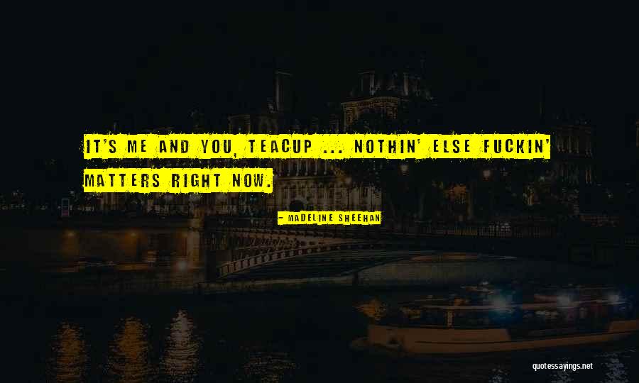 Madeline Sheehan Quotes 2175170 Madeline Sheehan Quotes 2175170